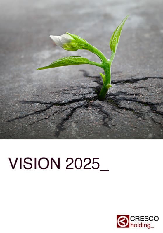 vision-2025